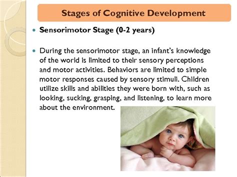 the sensorimotor stage often includes development of what ki.